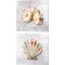 Shell Collector by Kelley Talent 14" x 14" Canvas Wall Art (Set of 2)